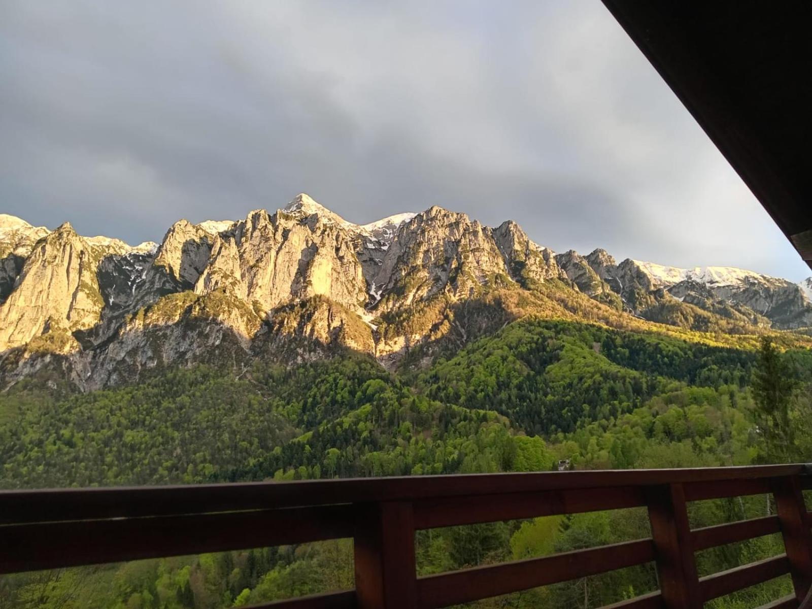 Chalet Cima 12 Valle Di Sella Βίλα Borgo Valsugana Εξωτερικό φωτογραφία